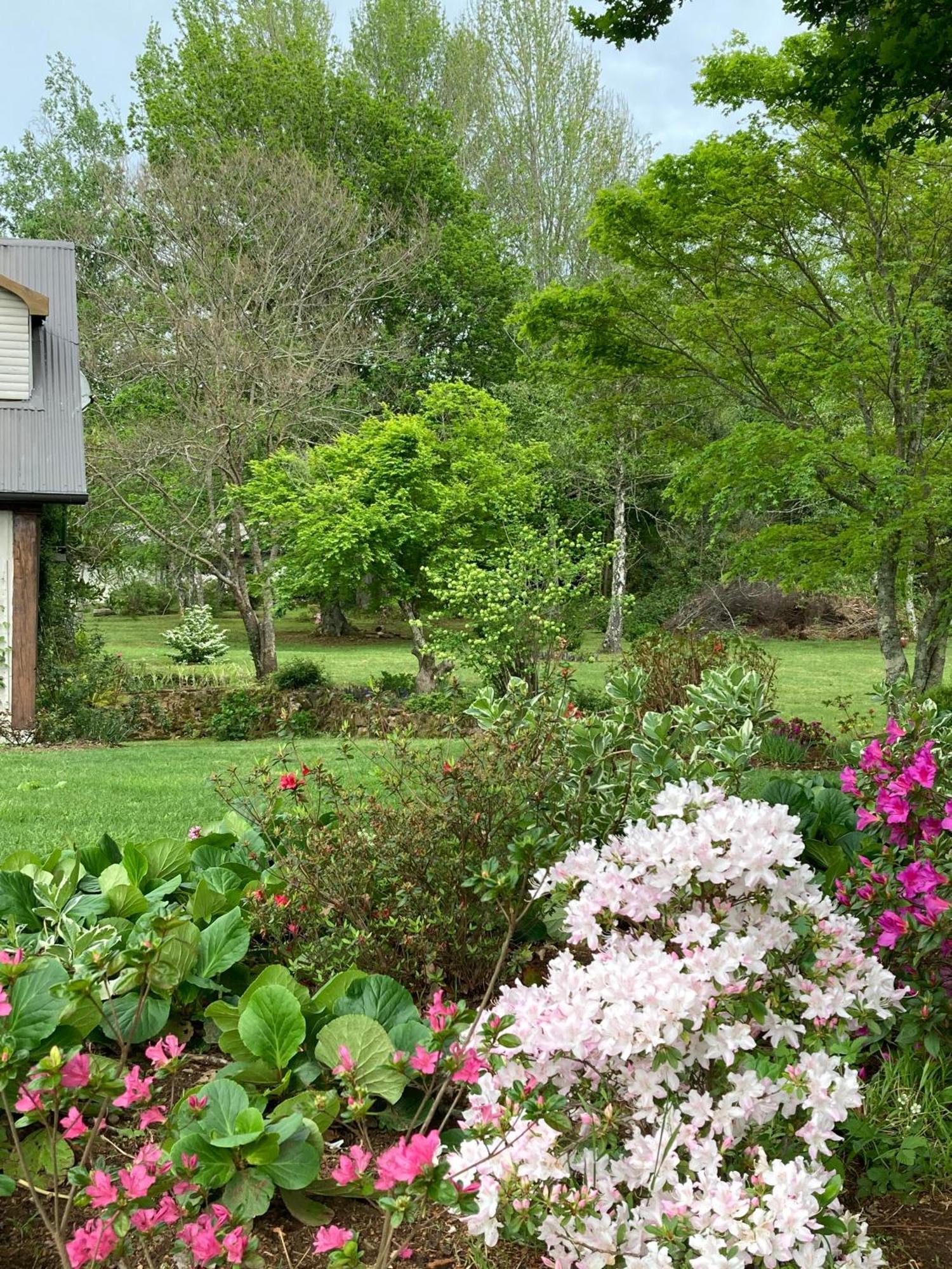 Bramber Cottage Hogsback, Living With Joy! Dış mekan fotoğraf