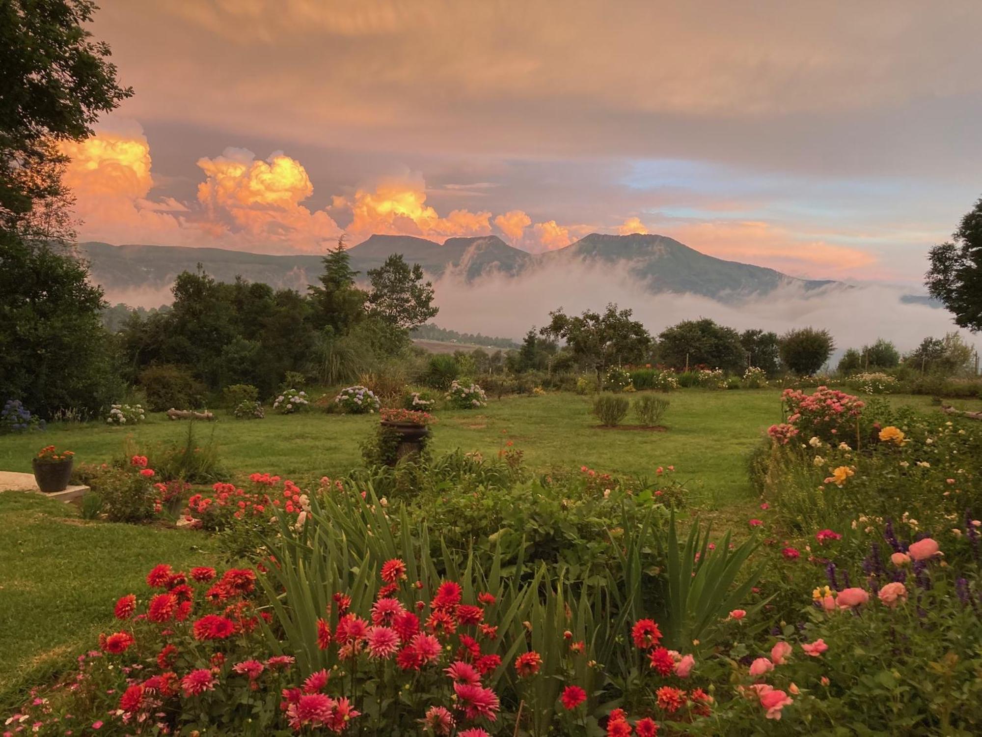 Bramber Cottage Hogsback, Living With Joy! Dış mekan fotoğraf