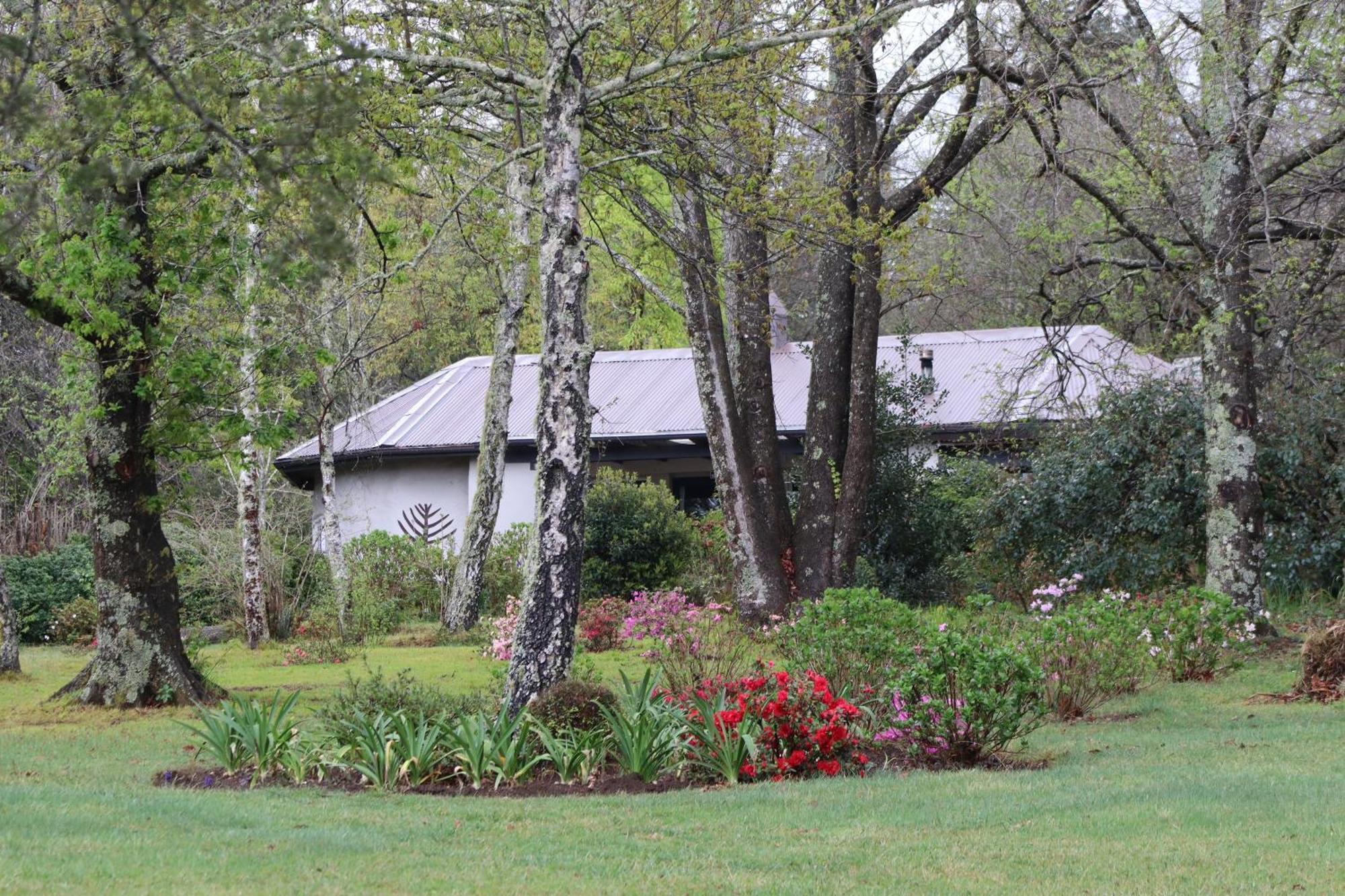 Bramber Cottage Hogsback, Living With Joy! Dış mekan fotoğraf